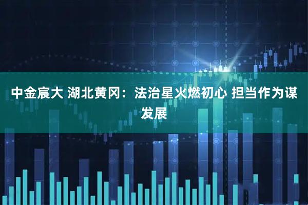 中金宸大 湖北黄冈：法治星火燃初心 担当作为谋发展