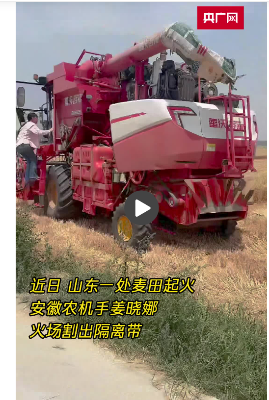一点金 火场抢收小麦的“姐弟双侠”_大皖新闻 | 安徽网