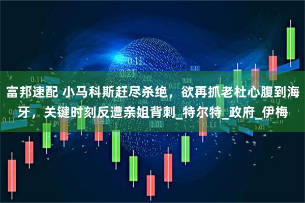 富邦速配 小马科斯赶尽杀绝，欲再抓老杜心腹到海牙，关键时刻反遭亲姐背刺_特尔特_政府_伊梅